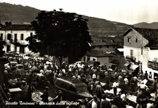 PECETTO TORINESE, Torino - Mercato delle Ciliegie - Trattore, Apecar - NV - P025