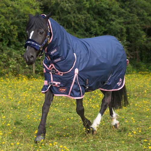 Tappeto shetland pony - shetland,