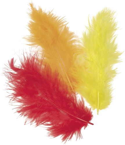 Piume mara mix cm - mix, 10