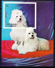 Sharjah Cani Animali Animali Natura Barboncino Bianco 1v m/s MNH