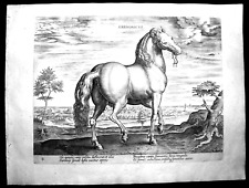 1580-RARA-SARDONICVS-SARDEGNA-STRADANO-JAN VAN DER STRAET-HORSES-CAVALLI