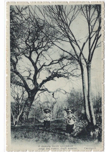 Postale cartolina - c.,
