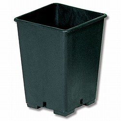 Vaso quadrato plastica - quadrato, in