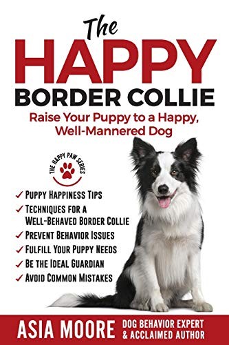 The happy border collie - border, raise
