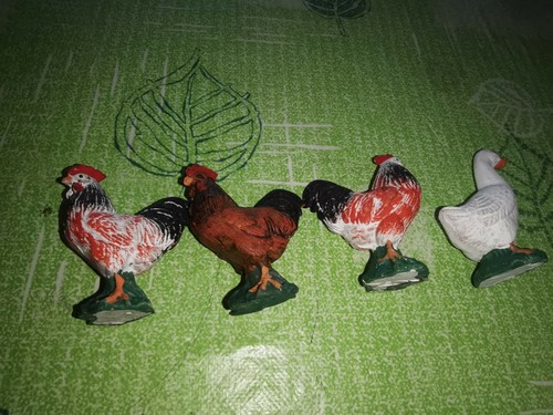 Galline una papera presepe - una,