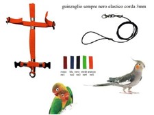 Pettorina elastica attacchi