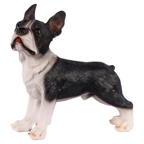 Statuetta cane bulldog - statuetta,