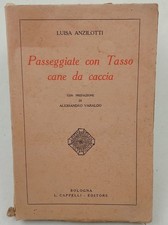 Passeggiate con Tasso cane da caccia