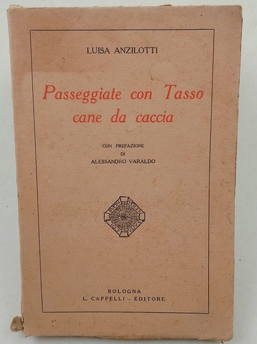 Passeggiate con tasso - passeggiate, cane