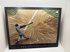 1997 Pinnacle Zenith 8 x 10