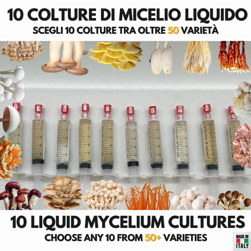 Bundle colture liquide - 10,