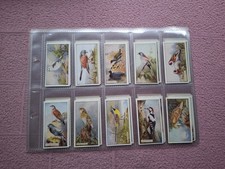 COMPLETE SET - SARONY -