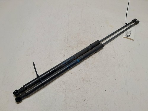 654702645r pistoncini - 654702645r,