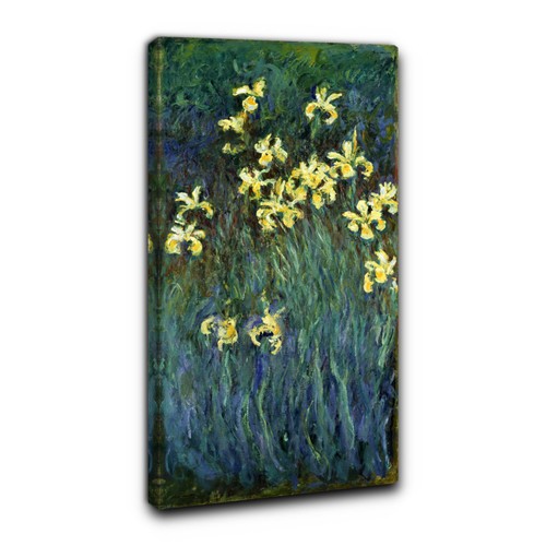 Niik quadro iris gialli - iris, di