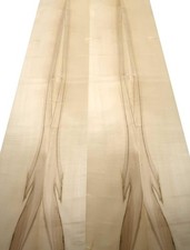 Furnier acero legno - furnier, di