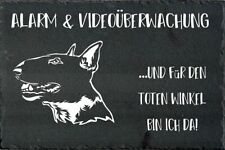 BULL TERRIER cartello di