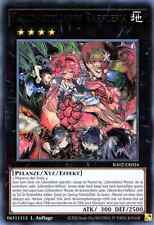 Yu Gi Oh!  Traptrix Rafflesia