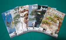 Bonsai Focus - Rivista di Arte