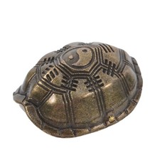  Cartomanzia Guscio Di