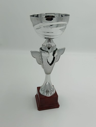 Coppa premiazione argento - coppa,