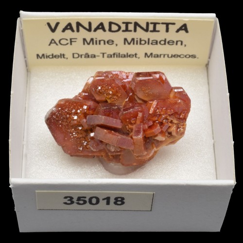 Vanadinita acf mine - vanadinita, (acf