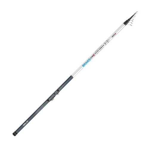 Canna pesca bolognese - da, sele