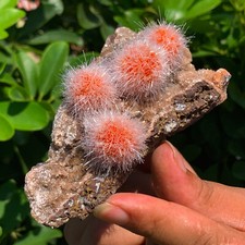 Cristallo di quarzo zeolite tarassaco indiano 200G esemplare minerale a grappolo