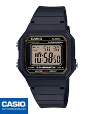 CASIO