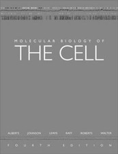 Molecular biology the cell - molecular, of