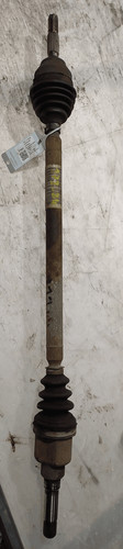 Semialbero ant compl - dx.,