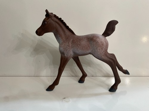 Miglior puledro arabo - , cavallo