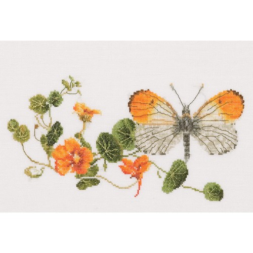 Thea gouverneur kit punto - kit,