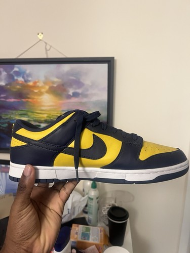 Nike dunk low uomo - nike, michigan