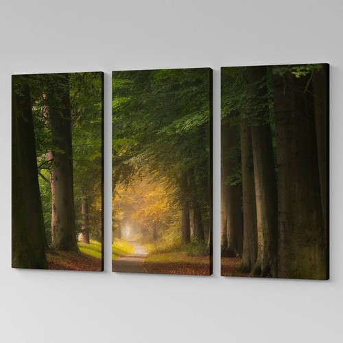 Set quadri moderni - 3,