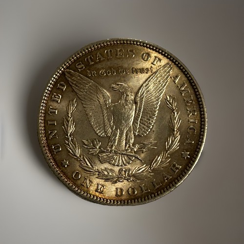 Dollaro morgan 1882 - dollaro, spl