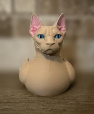 Sphynx Cat - Anatra - Crociere