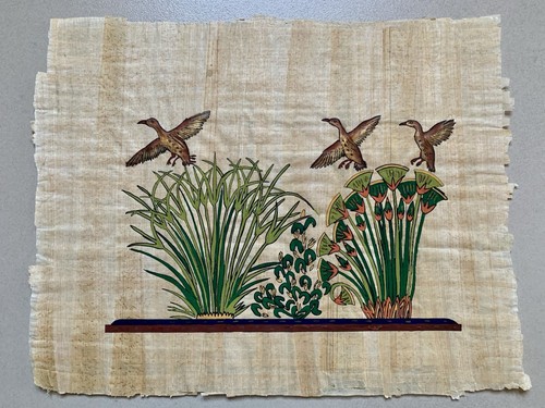Papiro egizio 43x34 vintage