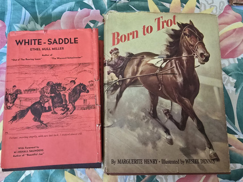 White saddle horse - white-saddle, hull