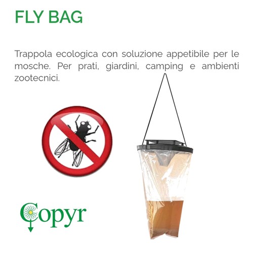 Trappola ecologica per mosche - trappola,