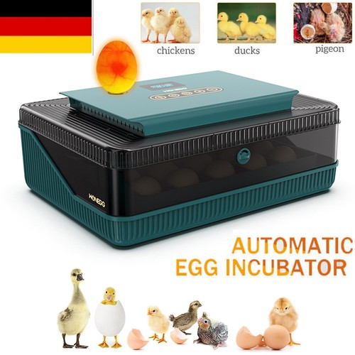 Incubatrice uova - incubatrice,