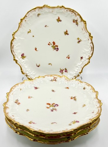 Set piatti lazyras - 4,