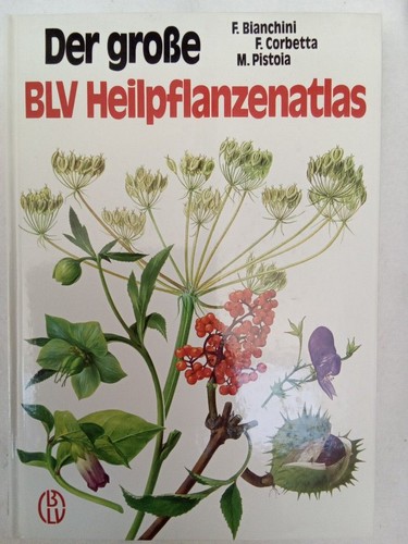 Der große blv - der,