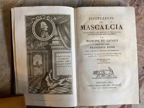 Bonsi istituzioni mascalcia - istituzioni,