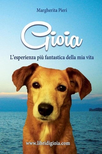 Gioia esperienza piu - gioia:, l'esperienza