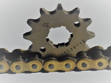 Pignone Kawasaki KLX 300 R