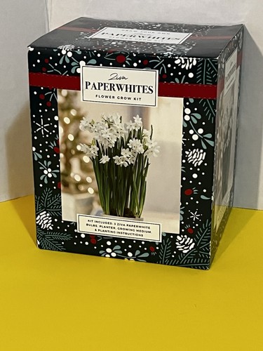 Kit lampadine paperwhite - kit,