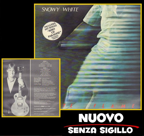 Snowy white - white,