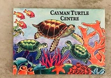 Calamita frigorifero colorata acquario tartaruga raccoglitore West Bay Cayman Island