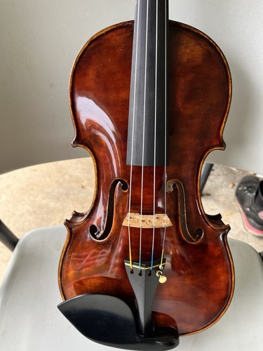 Gunther deurer nicolas amati - gunther,