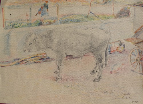 Giovanni craglietto toro - giovanni, craglietto,